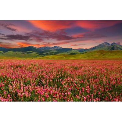 Papermoon "GEBIRGE-FELD BLUMEN BERGE WIESE SONNE WALD FLUSS WOLKEN"