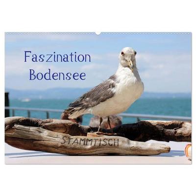 Faszination Bodensee (Wandkalender 2026 DIN A2 quer), CALVENDO Monatskalender
