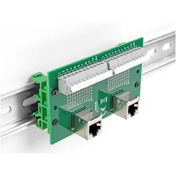 Delock RJ50 2 x Buchse zu 2 x Terminalblock mit Drucktaster für Hutschiene gewin, Netzwerk Adapter, Grau, Grün