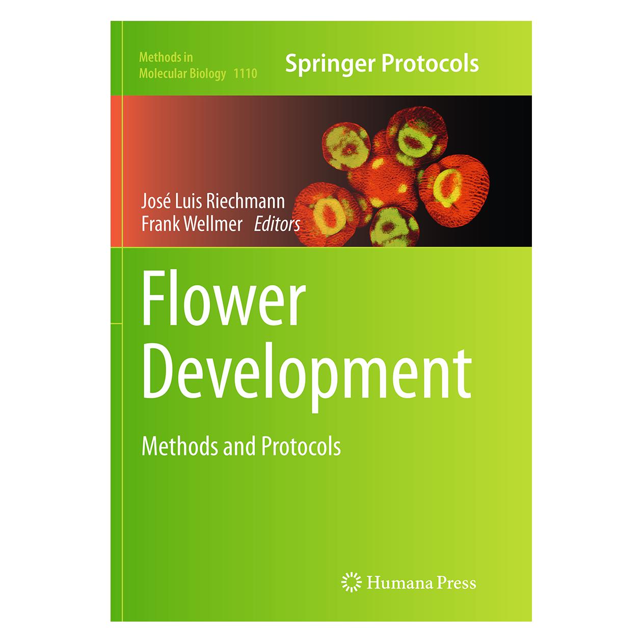 Springer Flower Development (Englisch, Softcover, Frank Wellmer, José Luis Riechmann) (55839840)