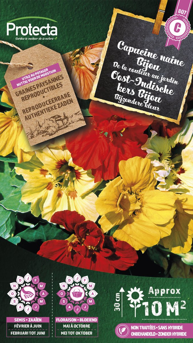 Protecta Oost-Indische kers Bijou Gemengd bloemenzaden