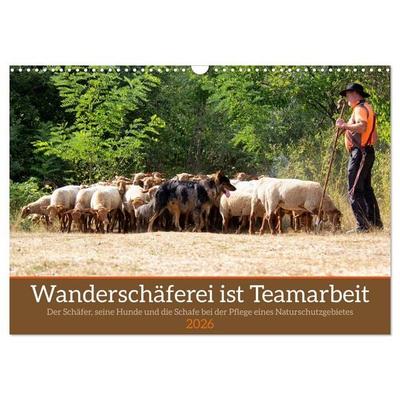 Wanderschäferei ist Teamarbeit (Wandkalender 2026 DIN A3 quer), CALVENDO Monatskalender
