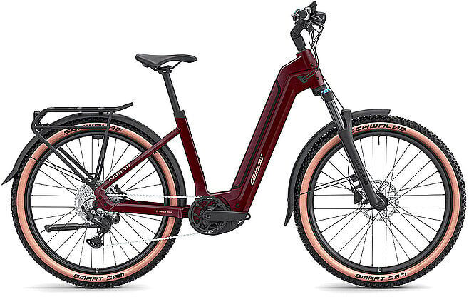 Conway E-Bike Cairon C 1.0 800 Wave (Tiefeneinsteiger) dunkelrot   L B