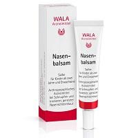 NASENBALSAM 10 g