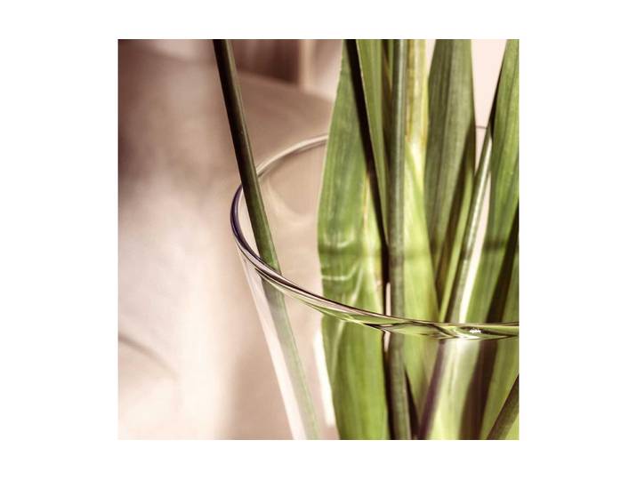 Tischvase LEONARDO Gia 36 , transparent, H:36cm Ø:15cm, Glas, Vasen, Tischvase