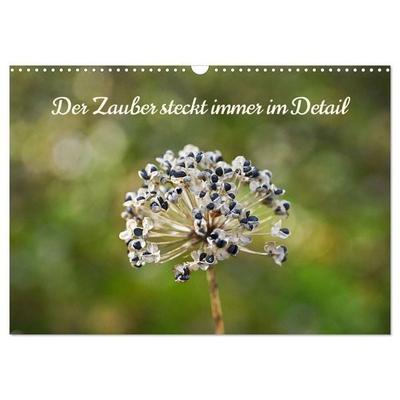 Der Zauber steckt immer im Detail (Wandkalender 2026 DIN A3 quer), CALVENDO Monatskalender