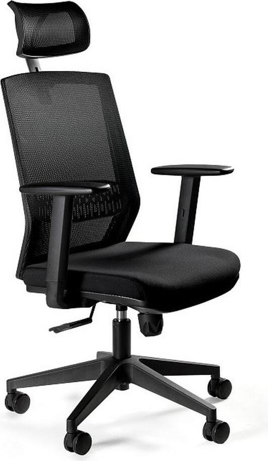 Ergonomische bureaustoel ESTA met armleuningen, zwart