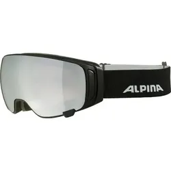 ALPINA Herren Brille DOUBLE JACK MAG QLite, Größe ONE SIZE in Silber Silber