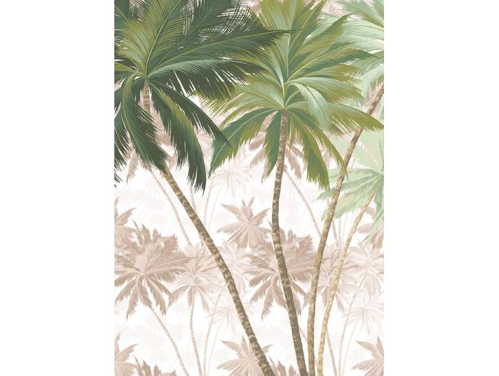 Fotobehang - Palmera 200x280cm - Vliesbehang