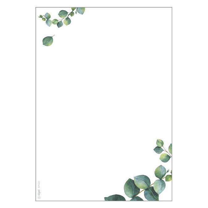 Sigel Design-Papier "Eucalyptus" (90 g/m², 100x) (DP682)
