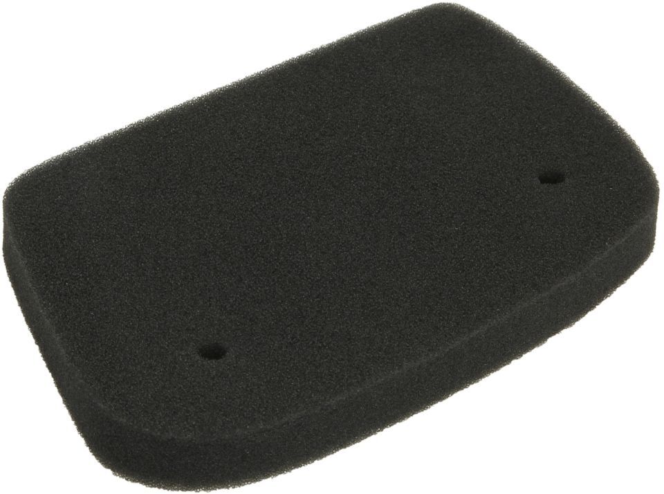 Luftfilter RMS 10 060 0041