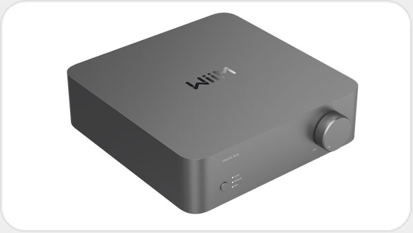 WIIM Audio WiiM Vibelink Amp Verstärker *grau* WI80631
