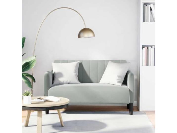 HEFZGDB Zweisitzer Sofa Hellgrau 109 cm Samtstoff mit Federkern und Schaumstoff, Bequemes Sitzgefühl für Wohnzimmer, Stabiles Sperrholzgestell und Weiche Polsterung, Elegantes Design