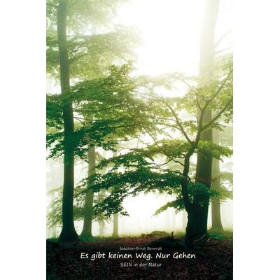 Es gibt keinen Weg. Nur gehen, Gebundene Ausgabe von Joachim E. Berendt, Traumzeit-Verlag, 978-3-933825-70-4