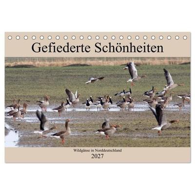 Gefiederte Schönheiten - Wildgänse in Norddeutschland (Tischkalender 2027 DIN A5 quer), CALVENDO Monatskalender
