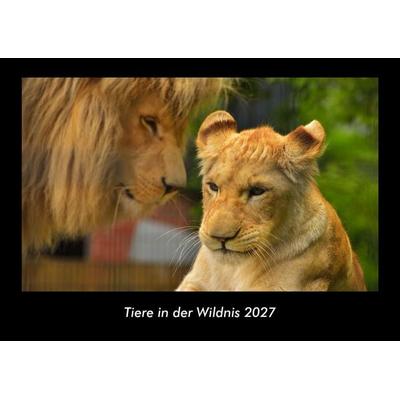 Tiere in der Wildnis 2027 Fotokalender DIN A3