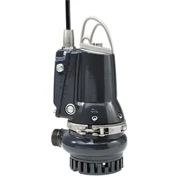 Grundfos Schmutzwasserpumpe 96877503 Grauguss, 10 m Kabel, DP10.50.15.E.2.50B, R 2 AG