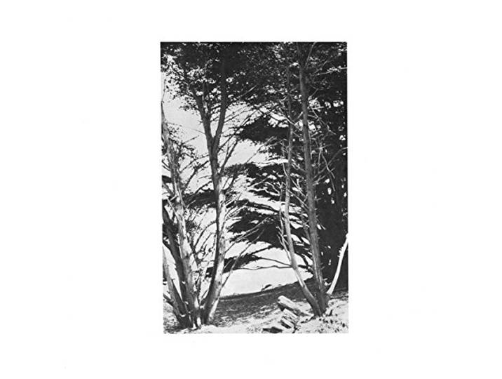 Gentle Wilderness