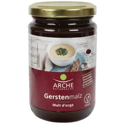 Arche Gerstenmalz bio