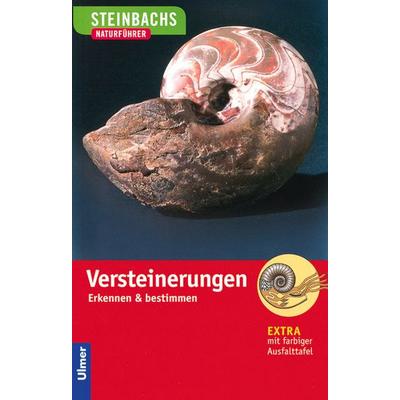 Steinbachs Naturführer Versteinerungen, Taschenbuch von Gerhard Lichter, Verlag Eugen Ulmer