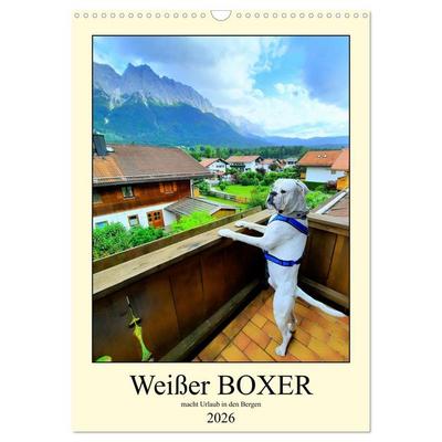 Weißer BOXER im Urlaub (Wandkalender 2026 DIN A3 hoch), CALVENDO Monatskalender