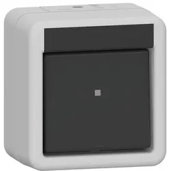 Gira Wippschalter Aus 310230