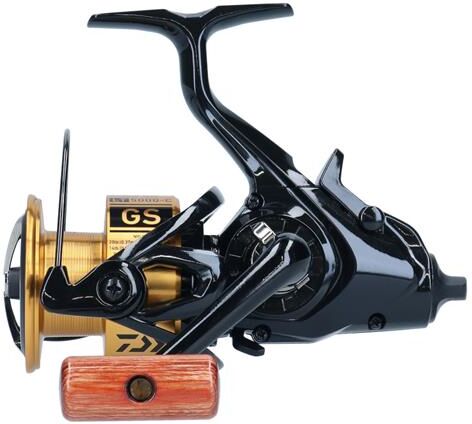 Daiwa GS BR LT 20 5000-C