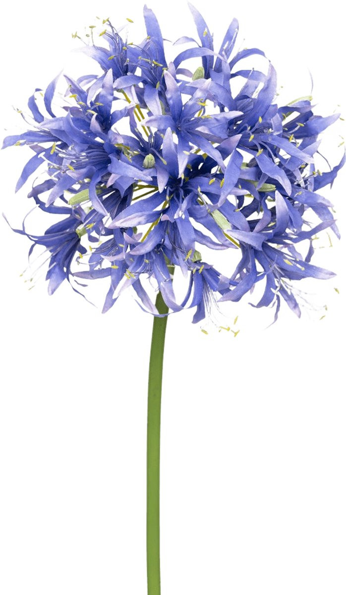 Easyplants Kunstbloem Nerine 70 cm paars van zijde