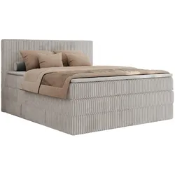 BOXSPRINGBETT TILIANO KING - 180/200 - Hellgrau Cord - H4