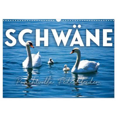 Schwäne - Prachtvolle Federkleider. (Wandkalender 2027 DIN A3 quer), CALVENDO Monatskalender