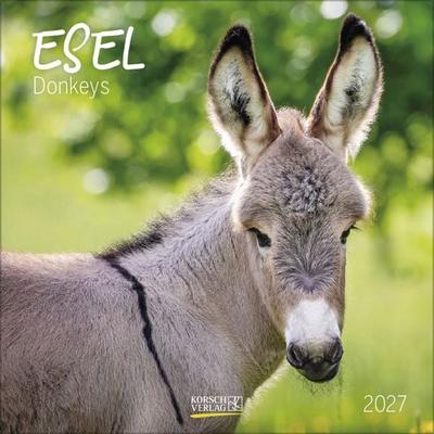 Esel 2027
