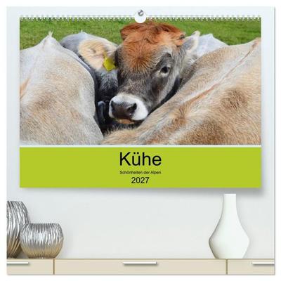 Kühe - Schönheiten der Alpen (hochwertiger Premium Wandkalender 2027 DIN A2 quer), Kunstdruck in Hochglanz