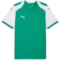 PUMA teamFINAL 26 Knit Trikot Herren 05 - sport green/puma white M