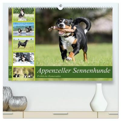 Appenzeller Sennenhunde - Fröhliche Kameraden (hochwertiger Premium Wandkalender 2027 DIN A2 quer), Kunstdruck in Hochglanz