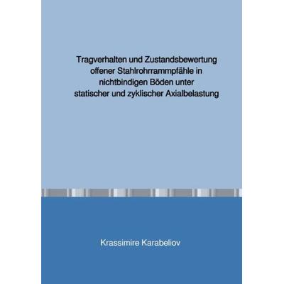 Tragverhalten und Zustandsbewertung offener Stahlrohrrammpfähle in nichtbindigen Böden unter statischer und zyklischer Axialbelastung, Taschenbuch von