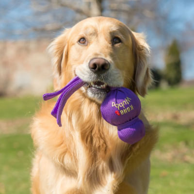 KONG Wubba Dog S