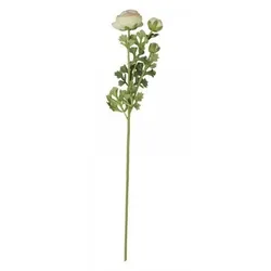 Chic Antique Fleur Butterblume melone, H70/L14/B7 cm, melone