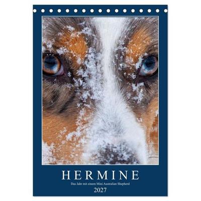 Hermine - Ein Jahr mit einem Mini Australian Shepherd (Tischkalender 2027 DIN A5 hoch), CALVENDO Monatskalender