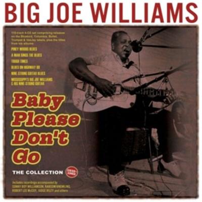 Baby Please Don't Go - The Collection 1935-62 - Big Joe Williams, CD