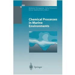 Chemical Processes in Marine Environments, Fachbücher von Antonio Gianguzza, SILVIO, Sammartano, Ezio, Pelizzetti