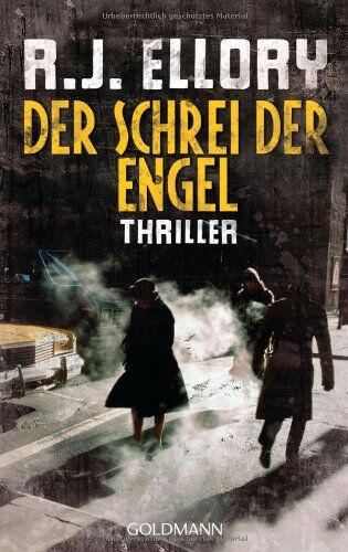 R.J. Ellory - Der Schrei der Engel: Thriller - Preis vom 11.10.2026 03:10:56 h