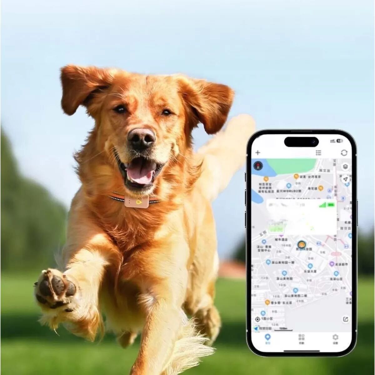 INF Traceur pour animaux - Localisation GPS/AGPS/WIFI/4G Cat1/GSM en temps réel avec appel vocal, alertes géorepérage,