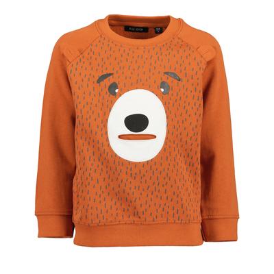Sweater BLUE SEVEN "Sweatshirt", Jungen, Gr. 128, orange (2820, kupfer), 100% Baumwolle, normal normal, Rundhals, gerader Abschluss, Sweatshirts Sweater