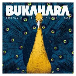 BML, Schallplatten, Canaries in a Coal Mine (LP) (Bukahara)
