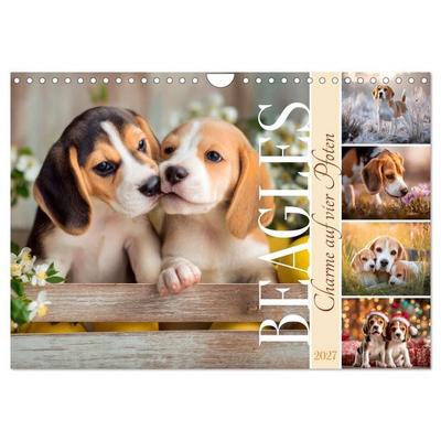 Beagles - Charme auf vier Pfoten (Wandkalender 2027 DIN A4 quer), CALVENDO Monatskalender
