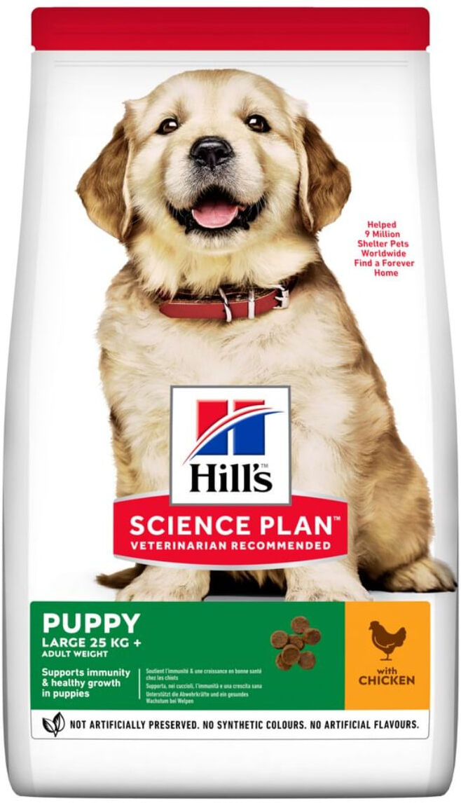 HILLS Hill's Science Plan Puppy Large Breed Pollo 14.5KG