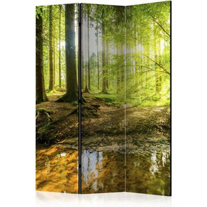 Artgeist Paravent Forest Lake, innen, 3-teilig, aus Holz / Stoff, Akustik, zweiseitig, 135 x 172cm