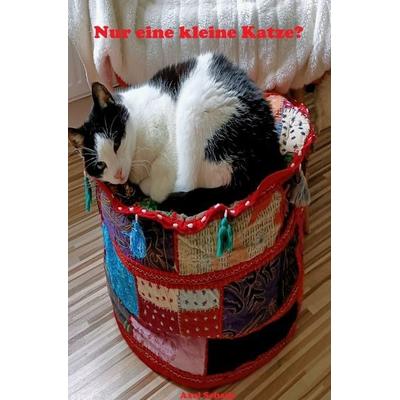Nur eine kleine Katze?, Taschenbuch von Axel Schade, Epubli, 978-3-7584-6984-8