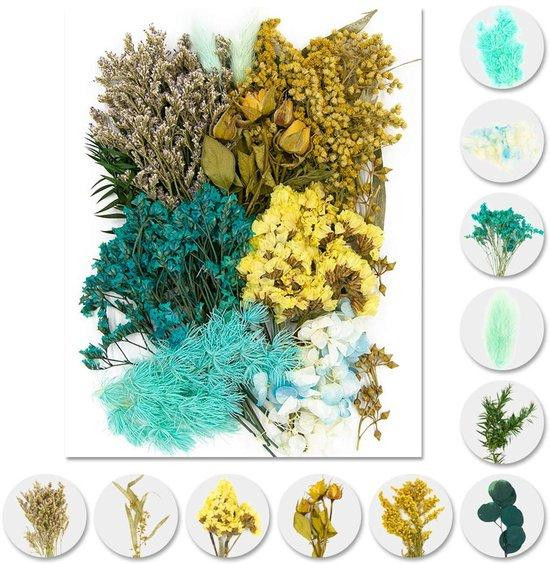 Ibenzoa Natuurlijke set gedroogde bloemen en bladeren voor decoratie en knutselen