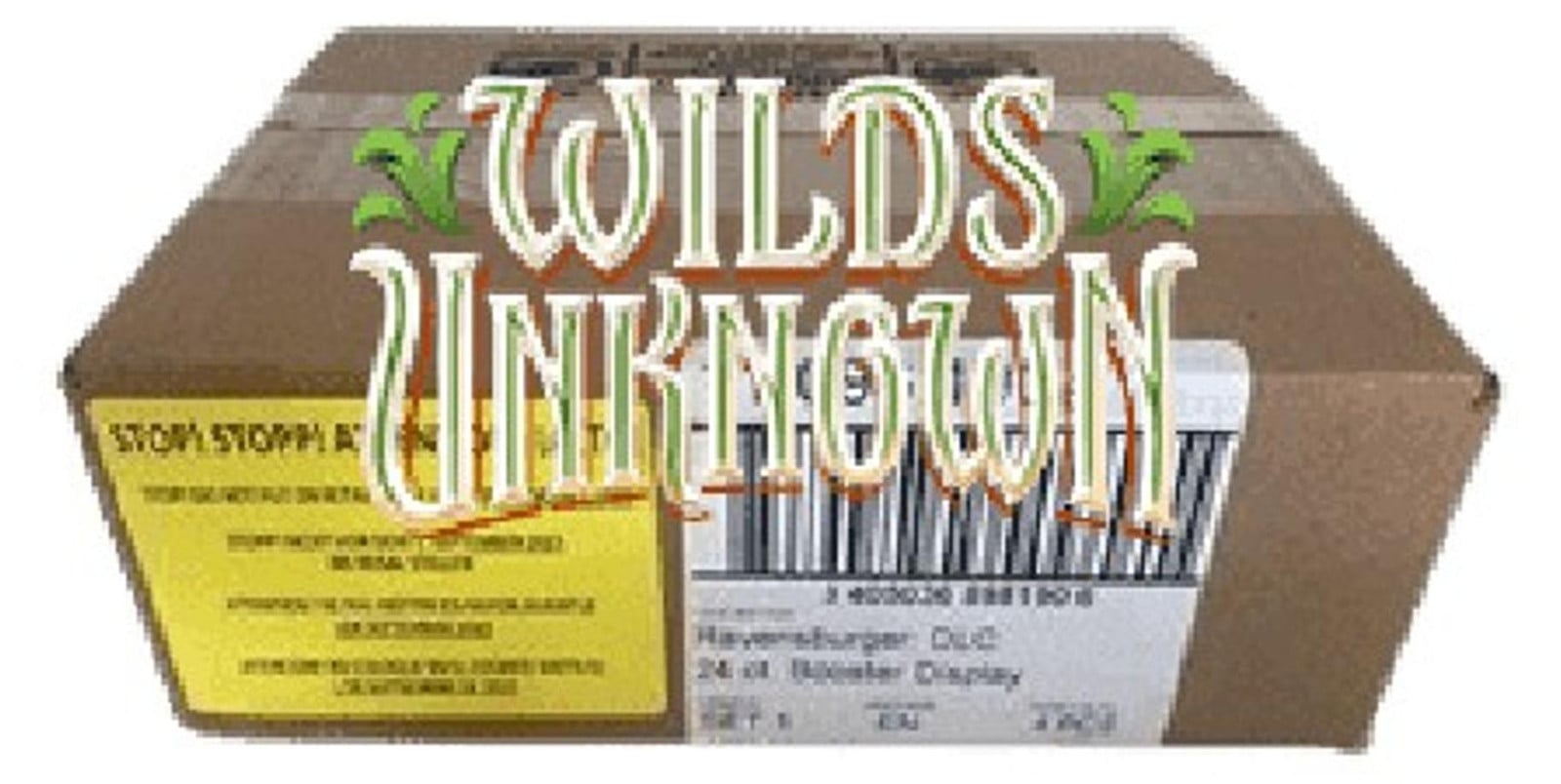 Ravensburger Lorcana Wilds Unknown 4 Booster Box Case